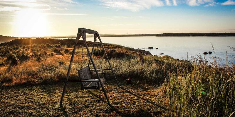 企业文化如何驱动绩效增长?揭秘组织效能提升的底层逻辑